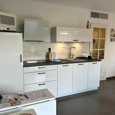 Joli Climatise Avec Jardin Dans Avec Piscine * أنتيب