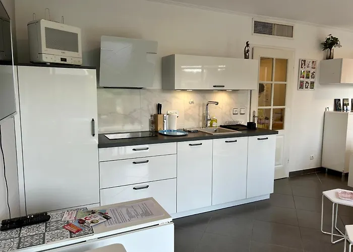 Joli Climatise Avec Jardin Dans Avec Piscine * Antibes