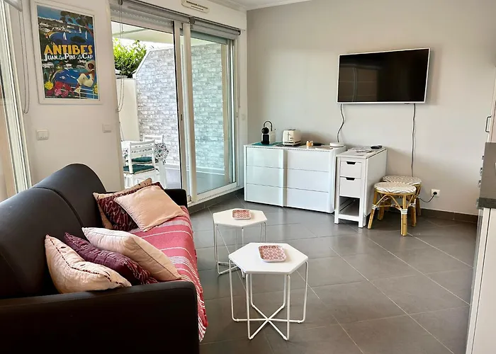 Joli Climatise Avec Jardin Dans Avec Piscine 公寓