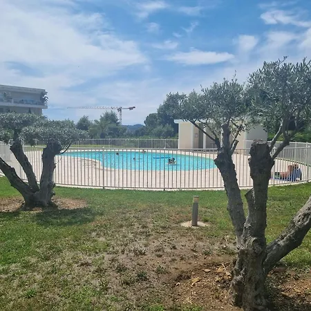 Joli Climatise Avec Jardin Dans Avec Piscine * Антиб