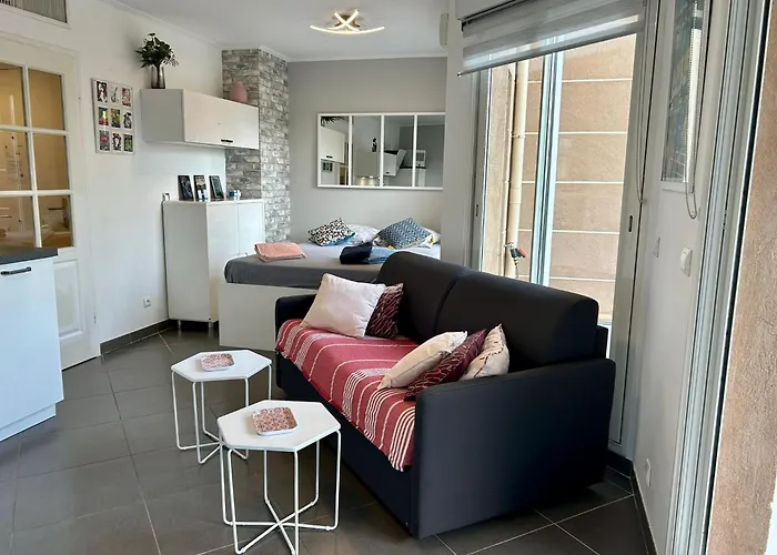 Joli Climatise Avec Jardin Dans Avec Piscine Антиб